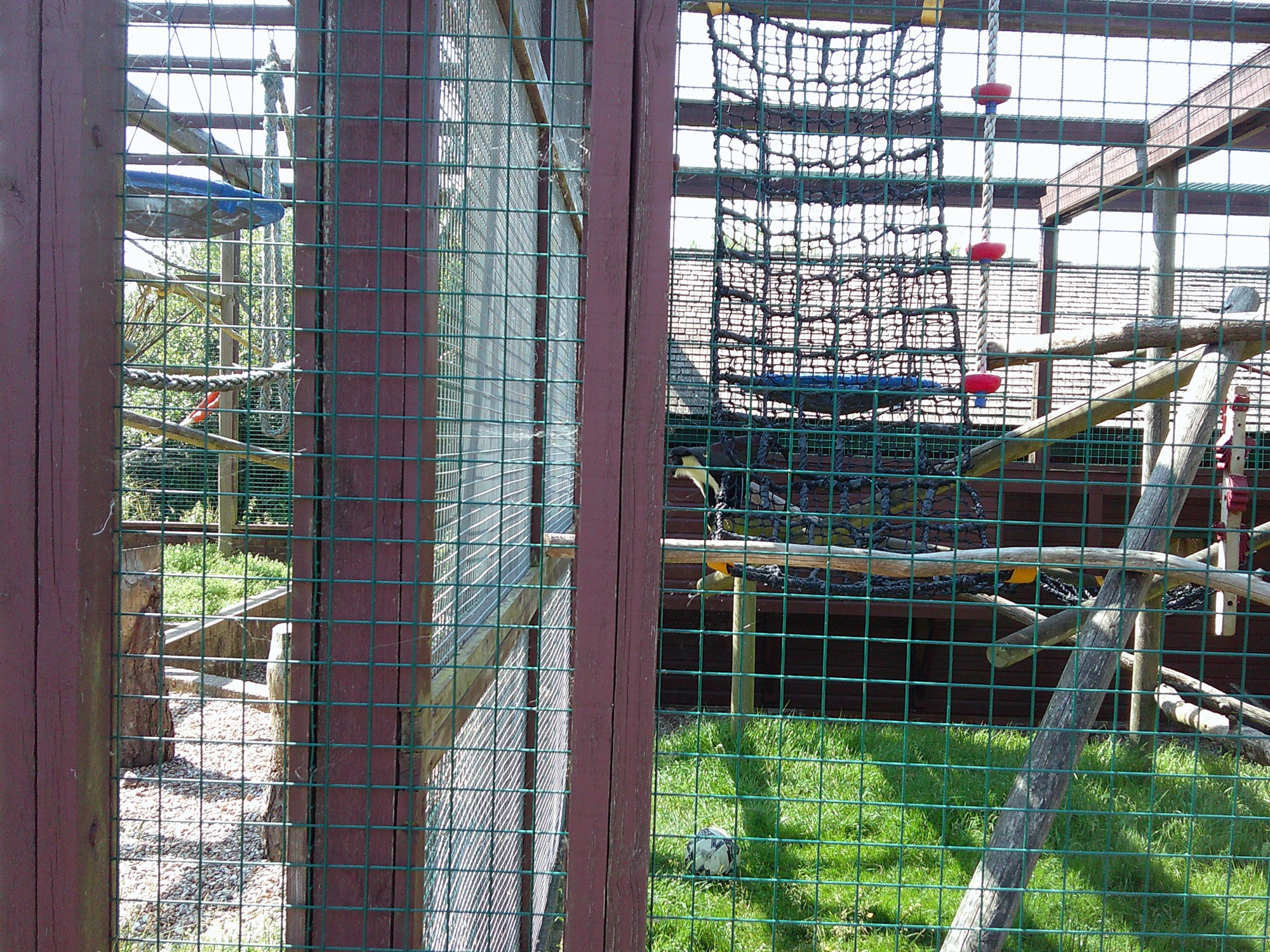 Day one at Monkey Haven