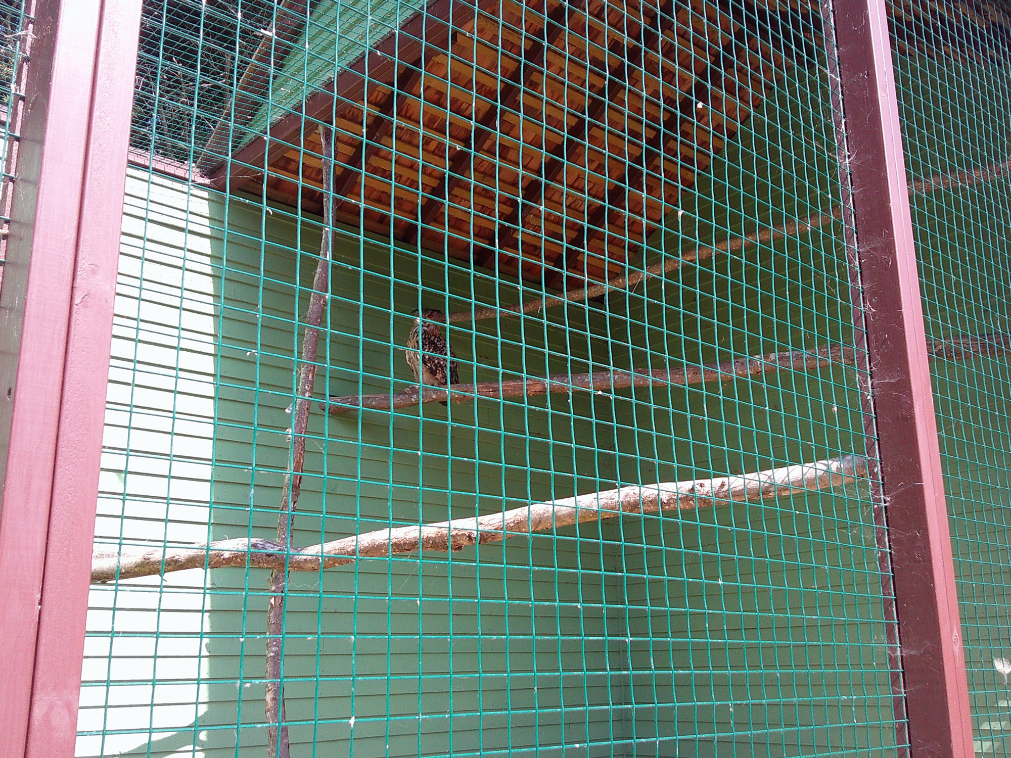 Exploring Monkey Haven