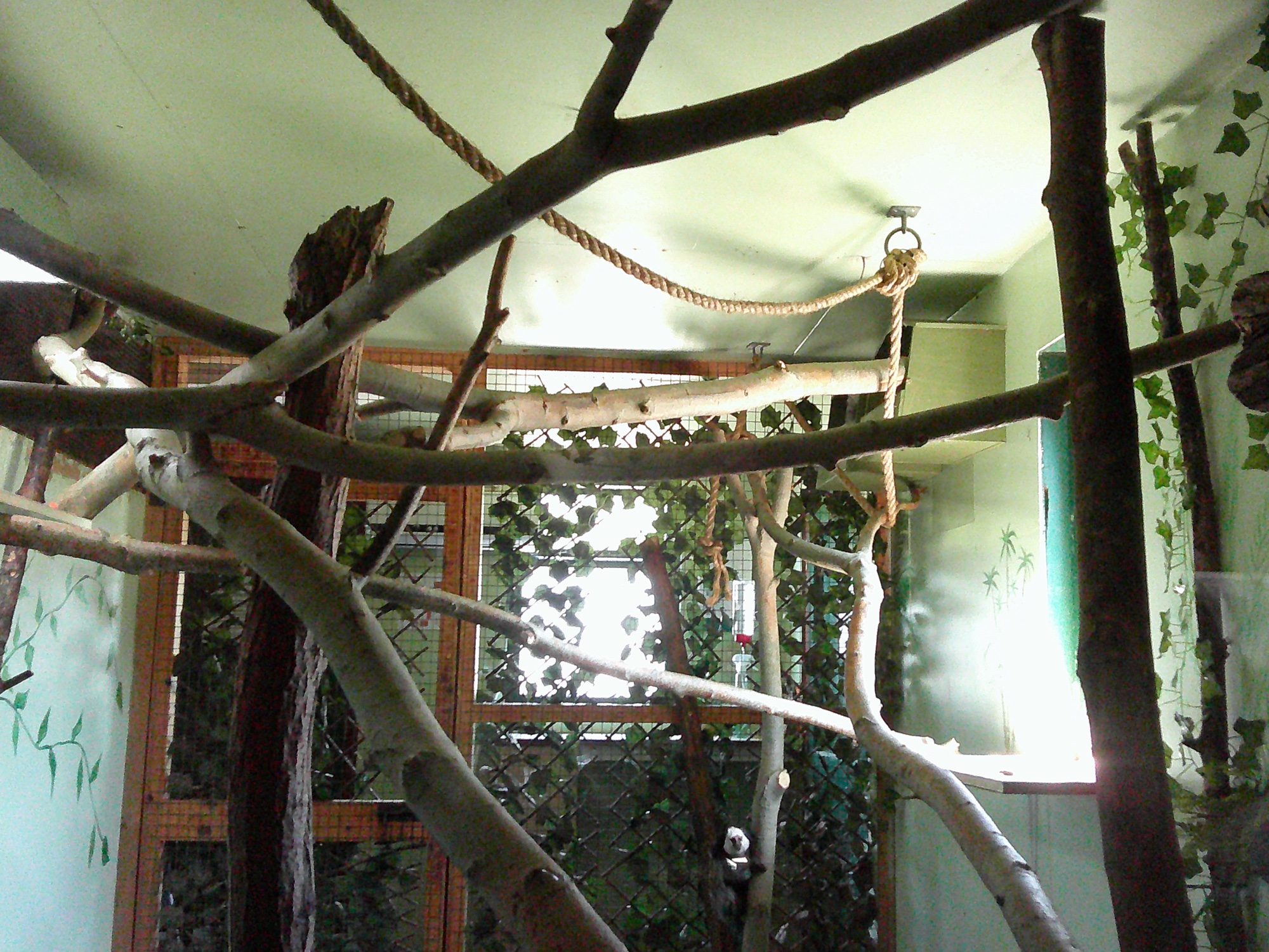 Day one at Monkey Haven