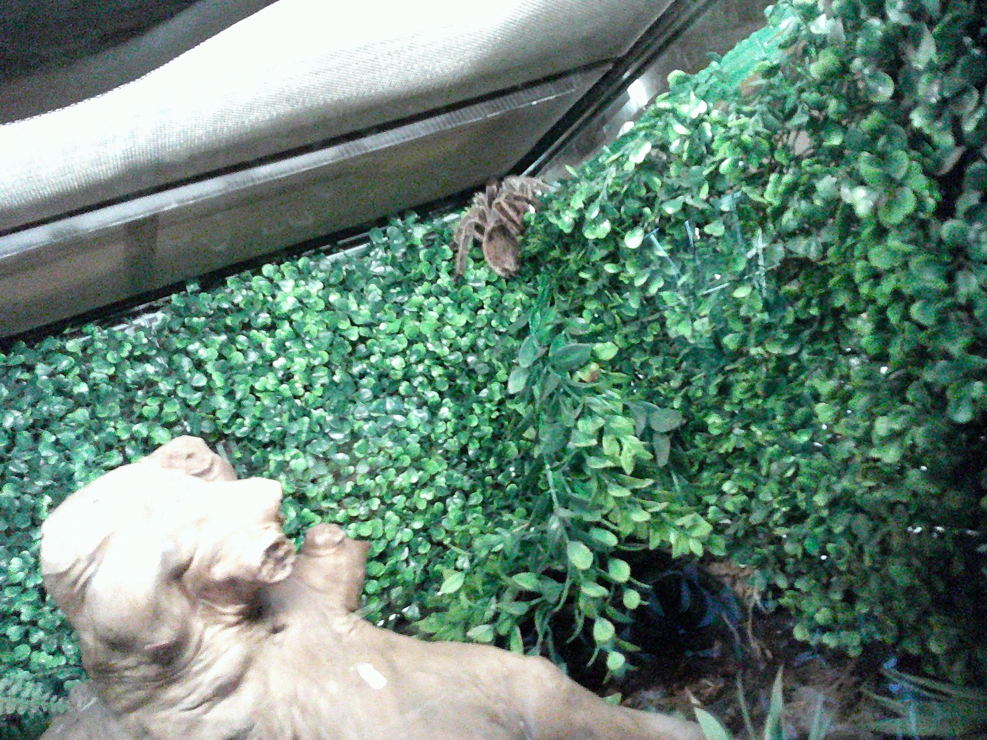 Day one at Monkey Haven