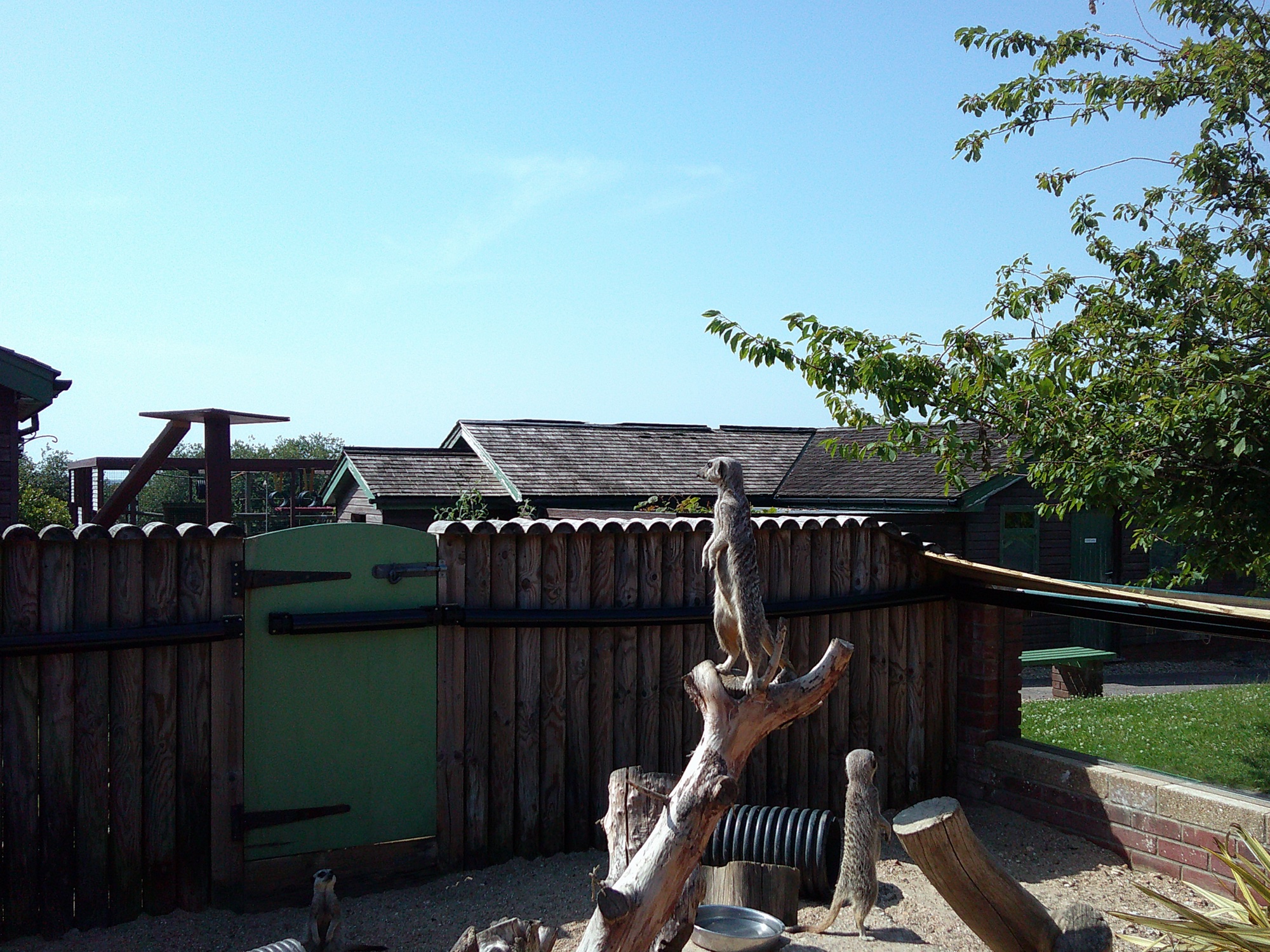 Day one at Monkey Haven