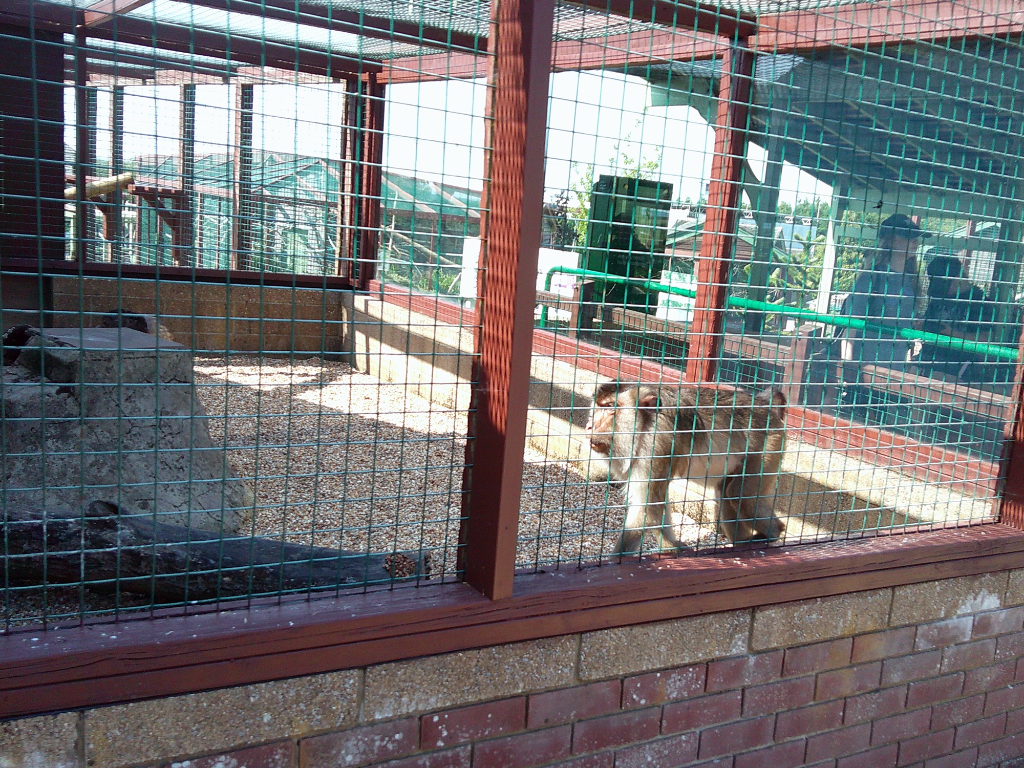 Day one at Monkey Haven