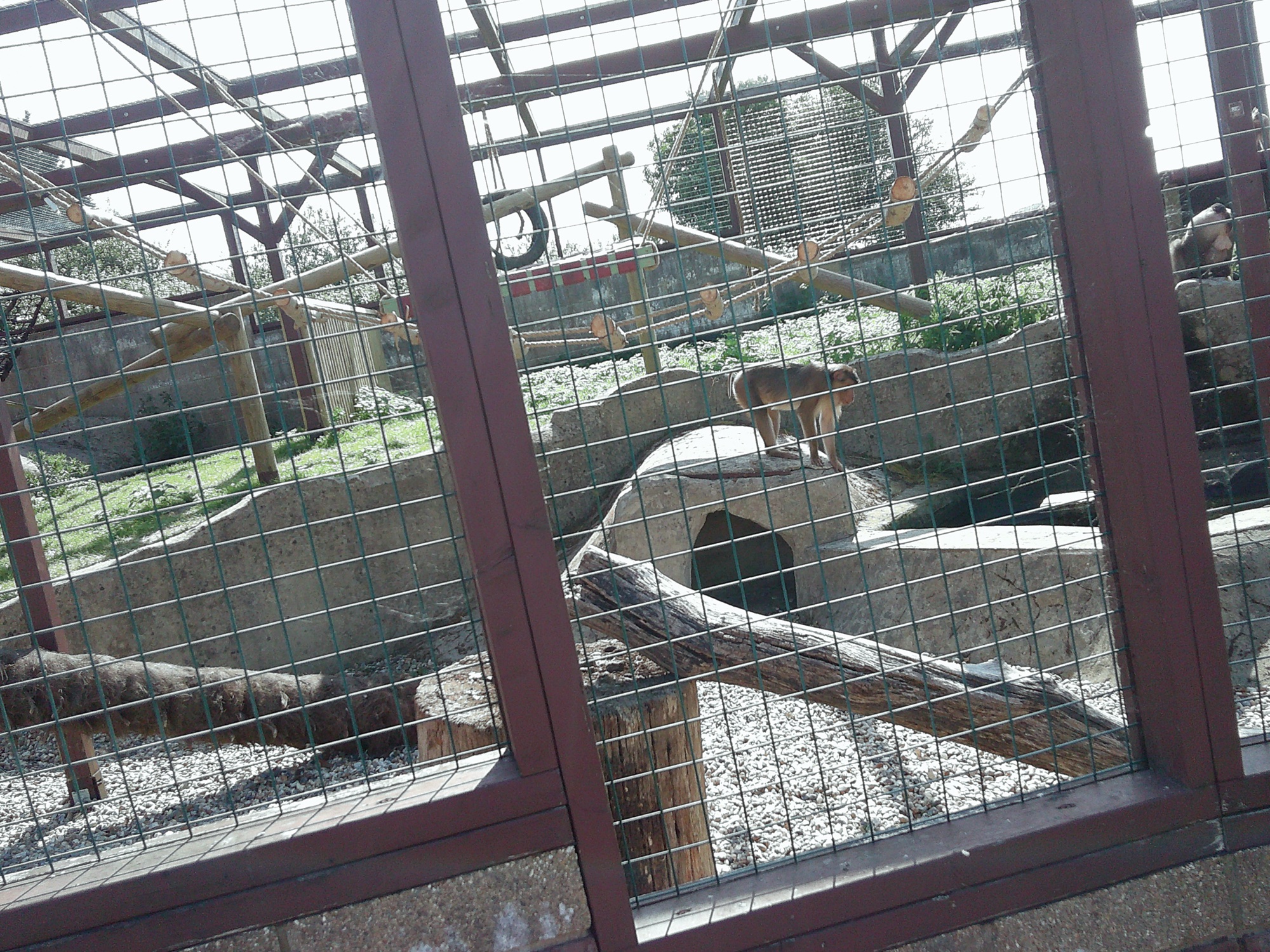 Day one at Monkey Haven