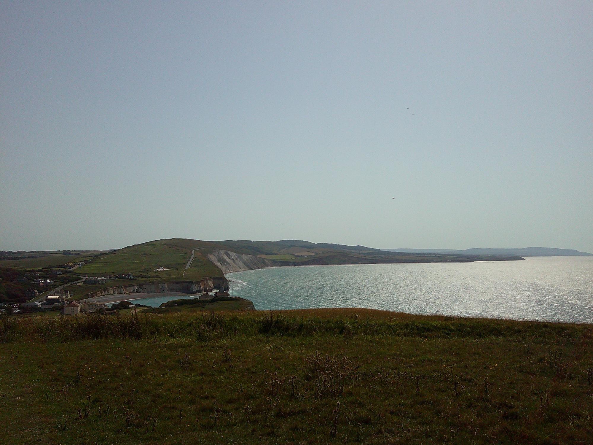At the top of Tennyson Down
