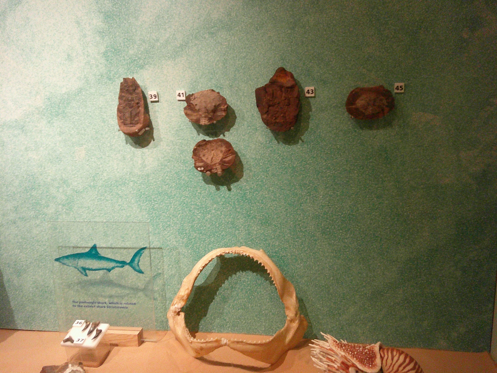 Day three at the museum