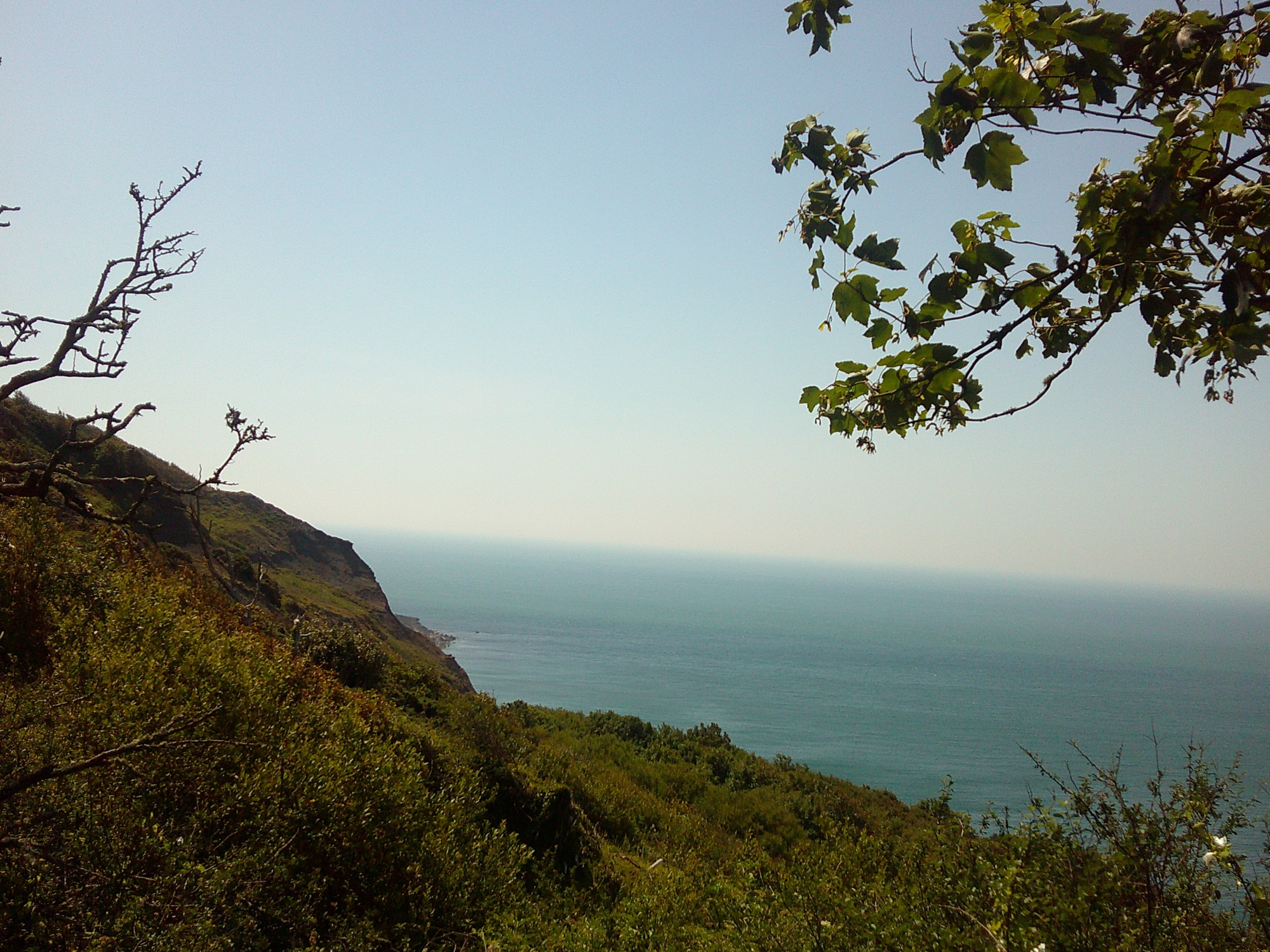 More of Blackgang Chine